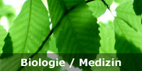 Biologie/Medizin Quiz